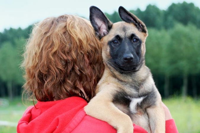 Šunims ne vieta daugiabutyje?