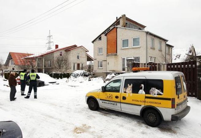 Nagiui – Pipiro likimas?