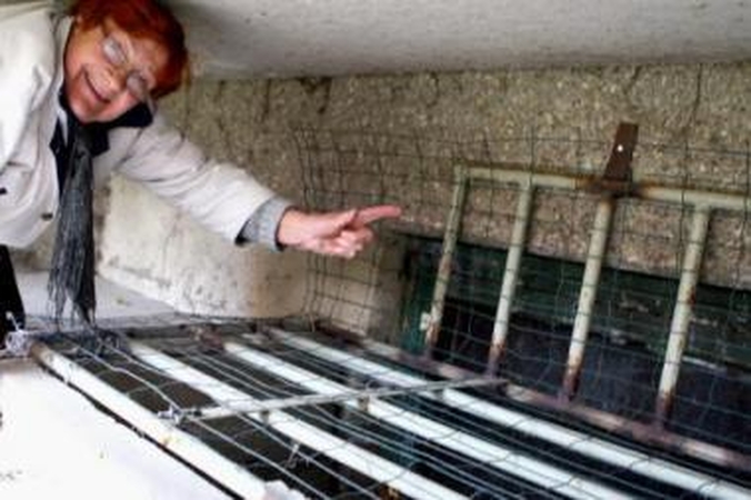 Išmintis: L.Ševčenko stebėjosi, kodėl taupant šilumą name rūsių langai liko užkalti lentomis, o ne įstiklinti.