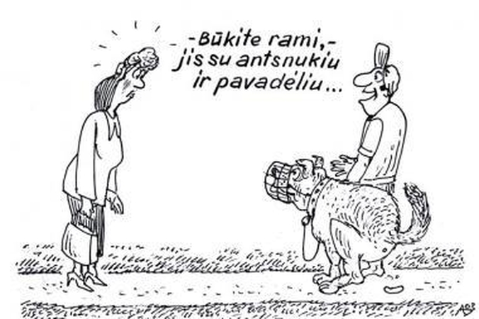 Gyvename tarsi šunidėse