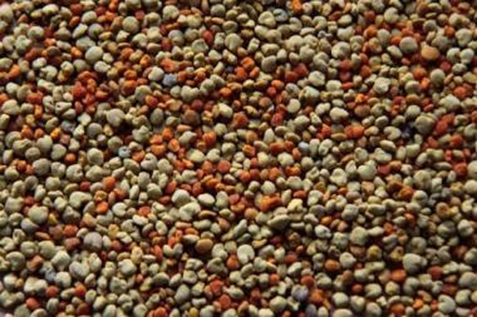 Požymis: tikros žiedadulkės yra įvairiaspalvės, o vienspalvės, anot bitininkų, tinka tik viščiukams lesinti.