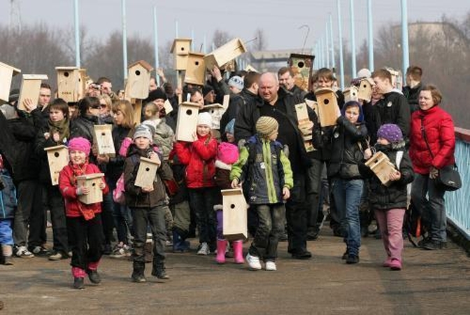 Dovana grįžtantiems paukščiams – inkilai