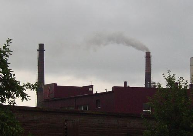 Elektrinės dūmai išgąsdino gyventojus