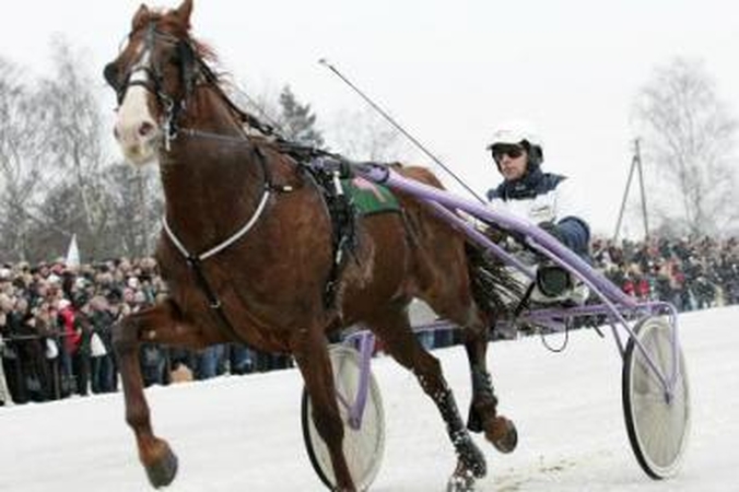 Vaidmuo: kauniečiai lenktynėse nedalyvauja, tačiau jas stebi itin noriai.