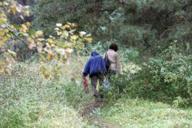 Pavojinga: Lazdynų seniūnas svarstė, jog žmonės turėtų ir patys daugiau rūpintis savo saugumu, o dabar trumpina kelią ir eina per mišką, kur gali būti užpulti.