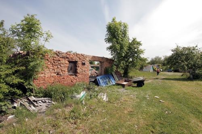 Kiaulidę griauti padės ES