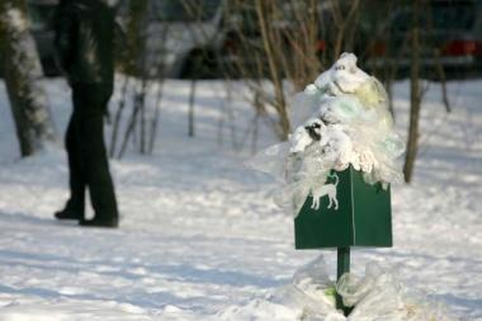 Beprasmiška: tvarkai palaikyti skirtos šiukšliadėžės stovi niekieno neprižiūrimos.