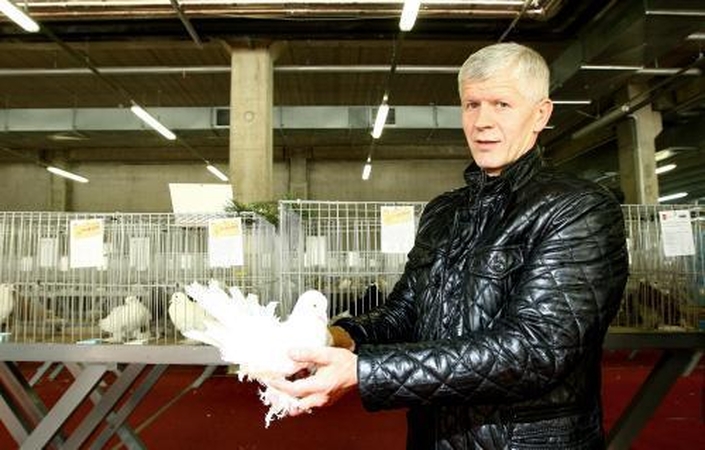 Įspūdinga balandžių paroda