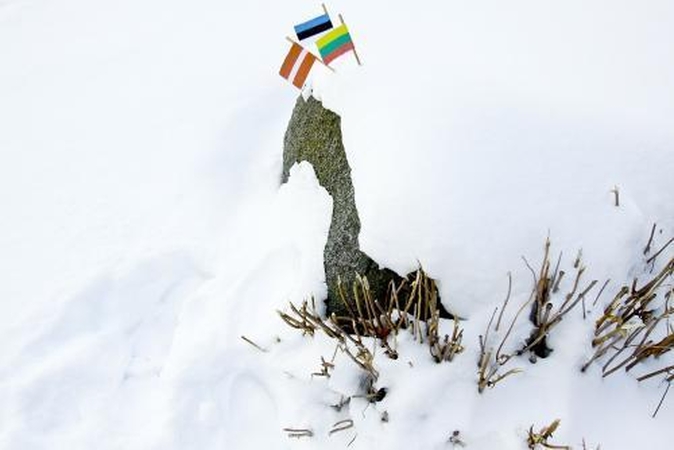 Užsieniečiai pagyrė Baltijos šalis