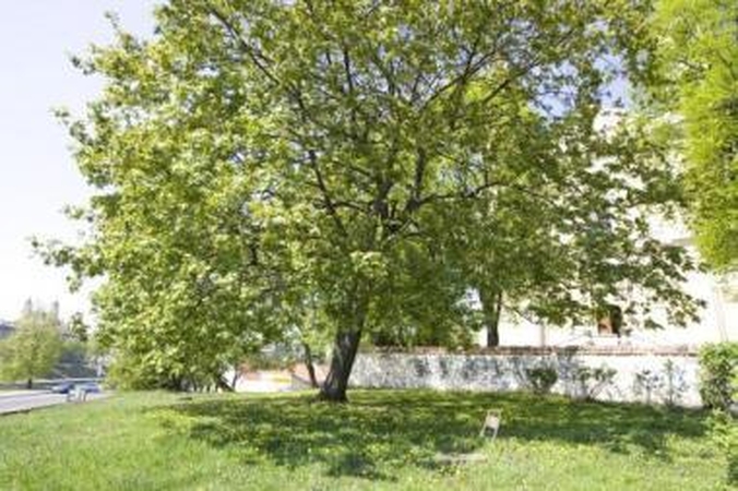 Sutapo: Savivaldybės ir projekto iniciatorių nuomonės dėl tinkamiausios vietos sūpynėms buvo vieningos.