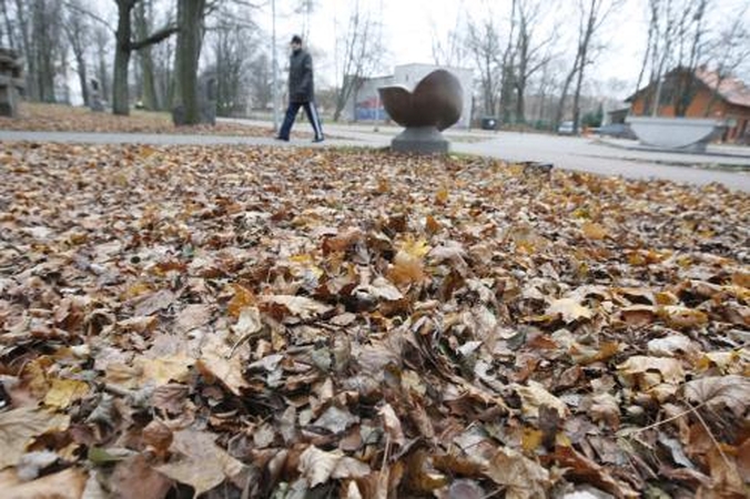 Lapus parkuose paliks supūti