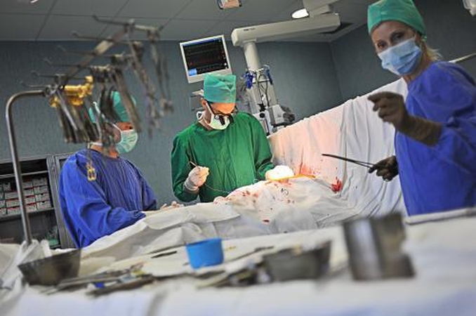 Transplantacijos centrus gali sujungti
