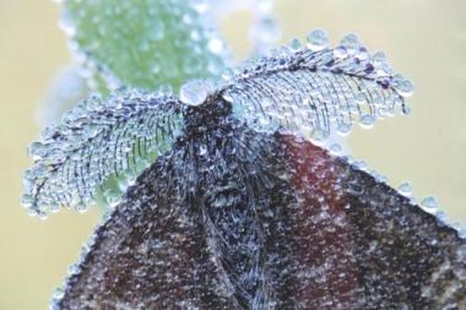 Smalsu: paroda jau atidarymo dieną sulaukė lankytojų.