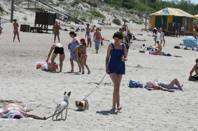 Vėl nori kurti šunų pliažą