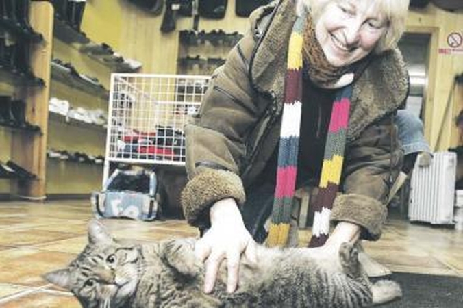 Benamė katė tapo parduotuvės talismanu