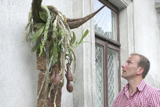 Išradingumas: M.Gvildys patenkintas šiuo iš augalų sukurtu Kauno simboliu.