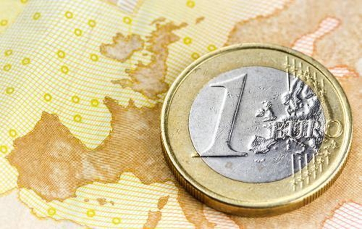Referendumo dėl euro nebus