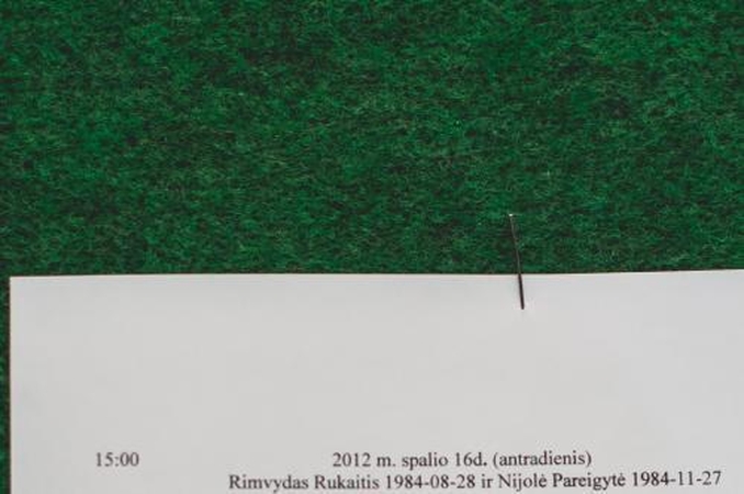 N.Pareigytė ištarė "taip"