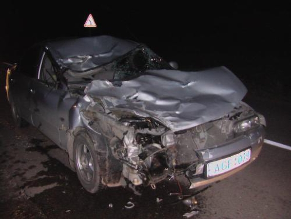 Po avarijos kumelę vežė ant stogo