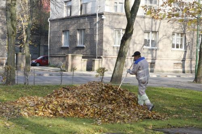 Viešiesiems darbams – 2 mln. litų