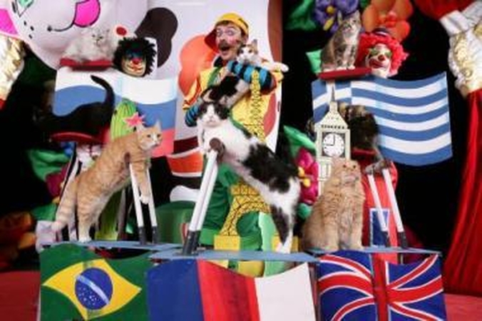 Šou: 60 katinėlių ir šunelis – tai J.Kuklačiovo kačių teatro artistai šį rudenį aplankysiantys Lietuvą ir dalyvausiantys vienintelėje pasaulyje "Katinėlių olimpiadoje".