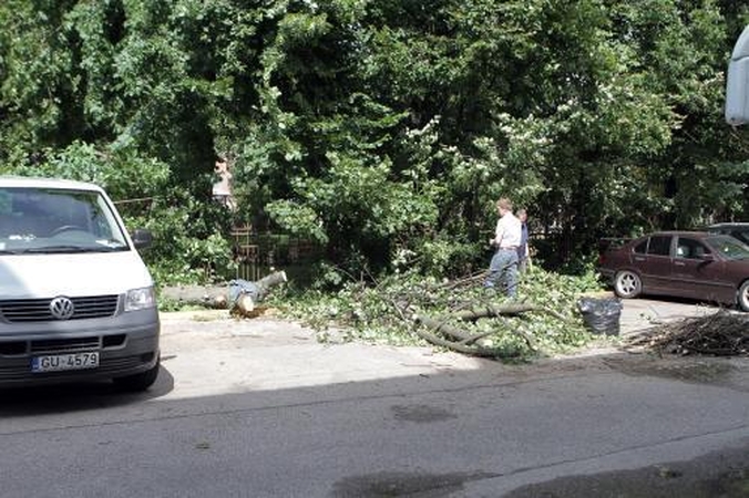 Po audringo savaitgalio – nuostoliai