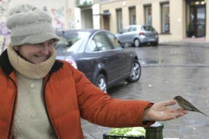 Išgarsėjo: žvirblius iš rankos lesinanti Bronė šią vasarą buvo tapusi turistų žvaigžde.