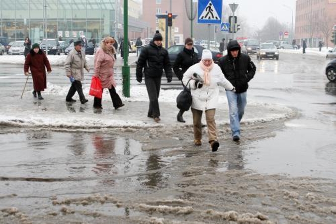 Plikledis klaipėdiečiams spendė spąstus