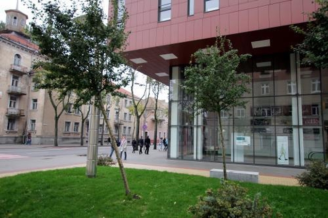 Klaipėdiečiai susirūpino medelių likimu