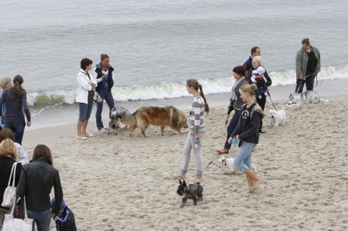 Šunims – legalios pramogos pliaže