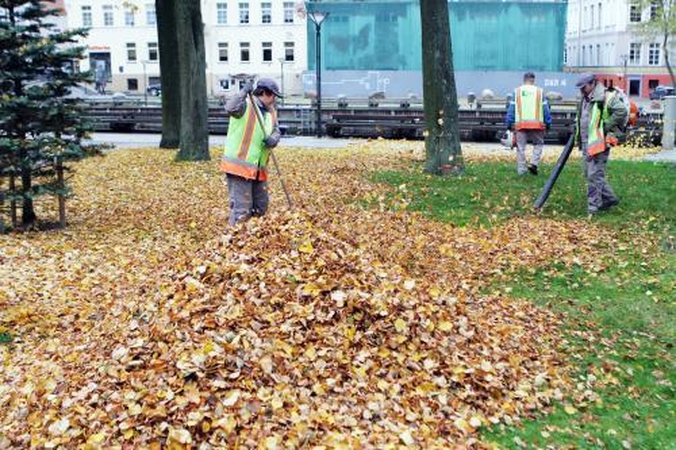 Į biudžetą prikapsėjo daugiau litų