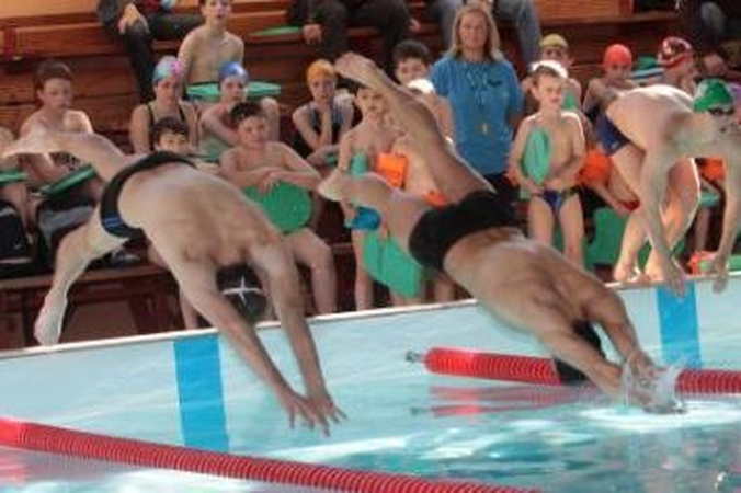 Netikėta: Kauno baseinuose sunku įsivaizduoti ne plaukikus, o delfinus.