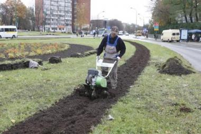 Darbai: Turgaus žiedo gėlyno laukia pokyčiai.