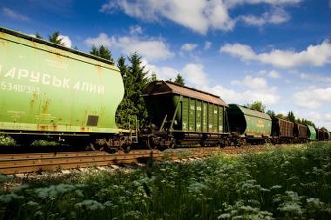 Trapu: Lietuva tebeturi viltį "Rail Balticą" iki Kauno nutiesti iki 2013 m. pabaigos.