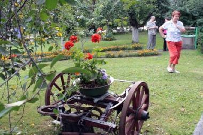 Išpuoselėta aplinka platina grožio virusą