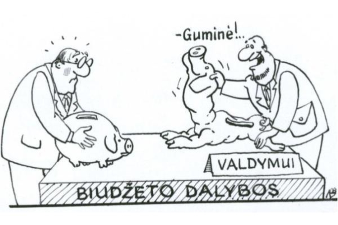 Valstybė turi gyventi pagal kišenę