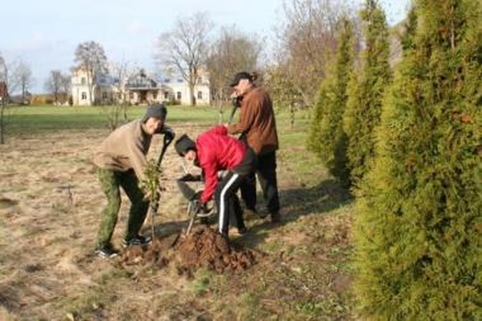 Talka: Babtyno-Žemaitkiemio dvare jo šeimininkai M.Šventoraitis ir M.Kosinskaitė darbavosi su architektu A.Kanču, tolėliau triūsė kiti dvarininkų bičiuliai.