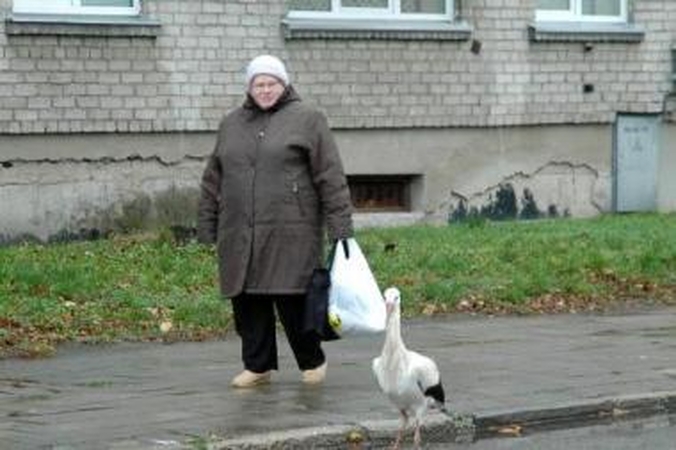 Kovas pagal senolius