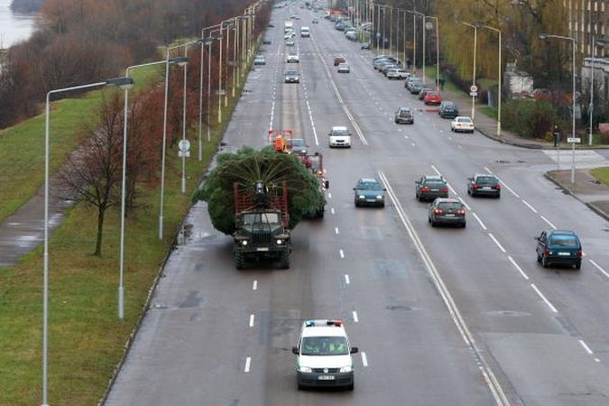 Įsikūrė: eglei pervežti iš Neveronių į Rotušės aikštę prireikė kelių valandų.
