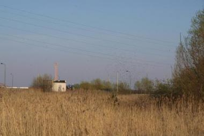 Vabzdžiai: prie Kuršių marių skraido pulkai mašalų.