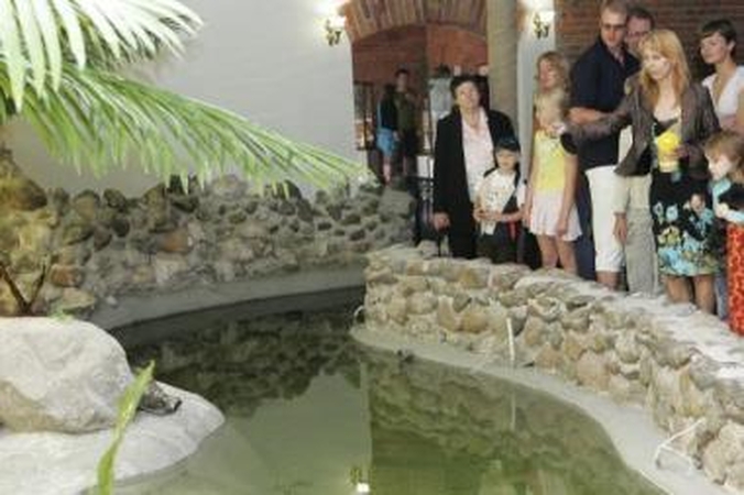 Sudomino: baseine užkandžiaujantį raudonausį vėžlį stebėjo nemažas smalsuolių būrys.