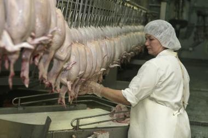 Paukštynas krizės nebijo